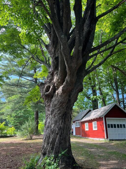 Schoolhouse No. 11 * Hudson Valley Upstate Getaway Stone Ridge 外观 照片